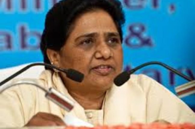 WhatsApp Image 2025-07-21 at 12.09.44 PM