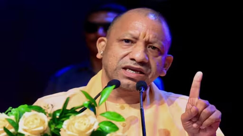 yogi