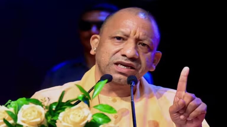 yogi