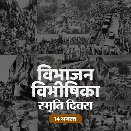 WhatsApp Image 2025-08-14 at 10.15.55 AM