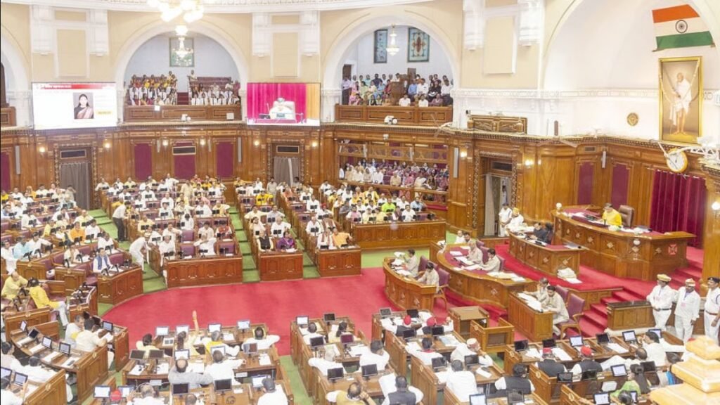 WhatsApp Image 2025-08-14 at 9.01.41 AM