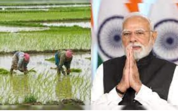 WhatsApp Image 2025-08-23 at 6.13.51 PM