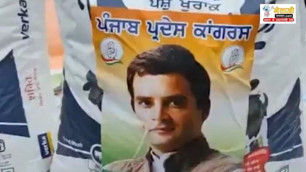 Prime Minister Modi inaugurated Jeevika Nidhi Bihar rural women (2)