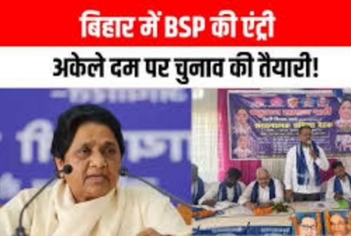 WhatsApp Image 2025-09-01 at 11.14.41 AM