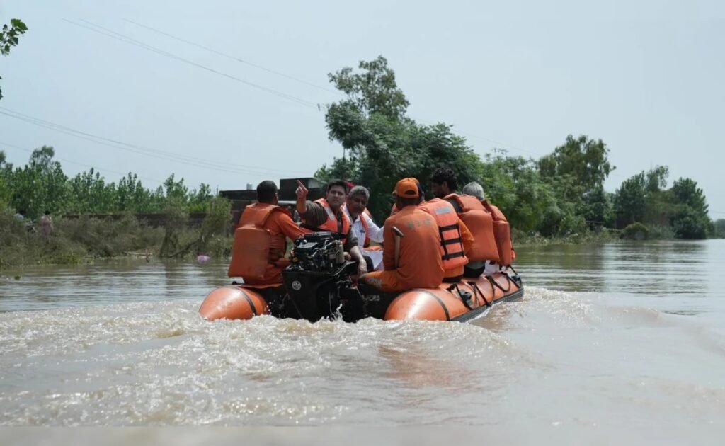 WhatsApp Image 2025-09-03 at 2.16.12 PM