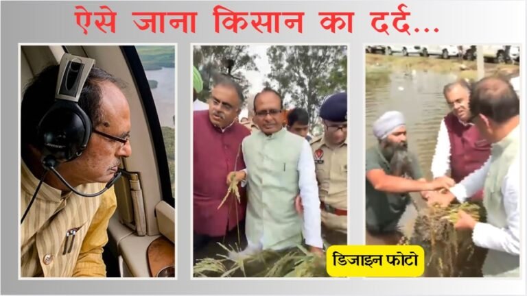 WhatsApp Image 2025-09-04 at 3.27.46 PM