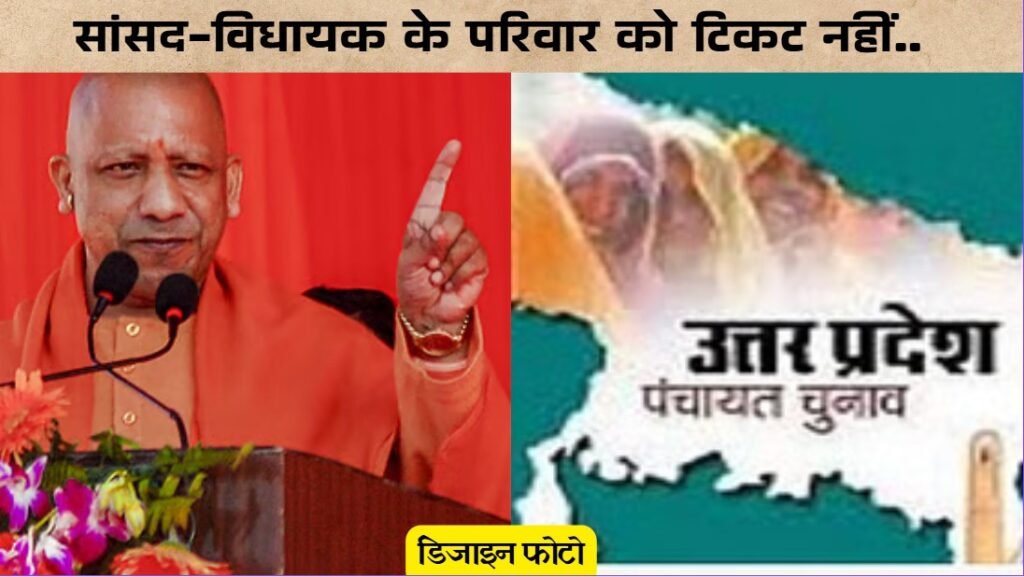 WhatsApp Image 2025-09-05 at 4.17.35 PM