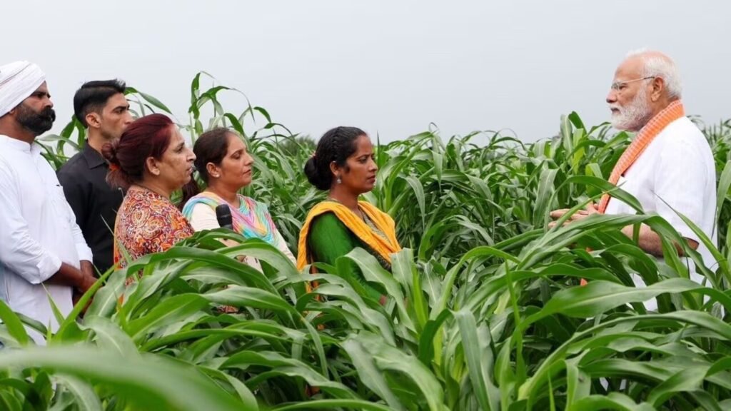 WhatsApp Image 2025-10-11 at 10.22.26 AM